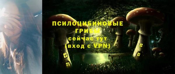 хмурый Алексин