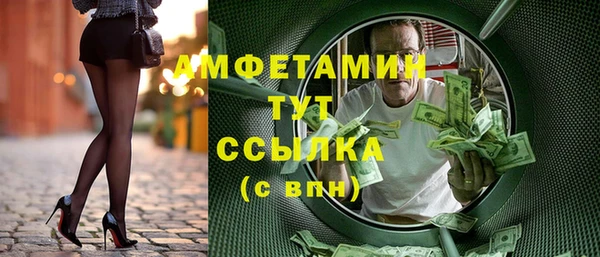 хмурый Алексин