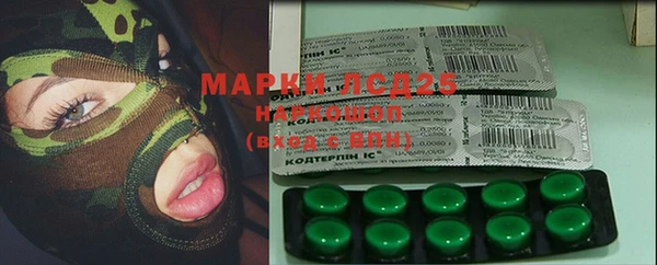 хмурый Алексин