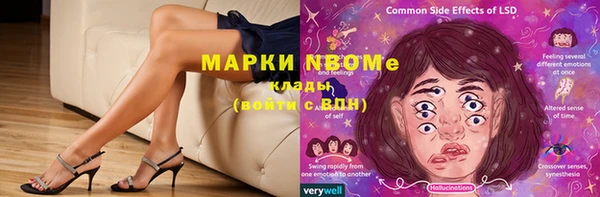 хмурый Алексин