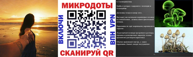 Псилоцибиновые грибы Psilocybine cubensis  сколько стоит  Пермь 